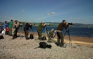 The Eight Different Types of Photographers You'll Find in the Wild