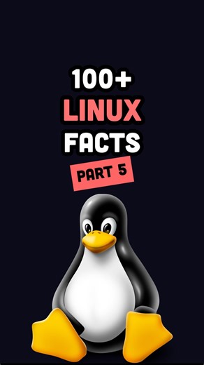 Fireship | Linux 101 (Part 5): The existential crisis… #linux #coding #programming #tech #code #developer #dev #programmer #fireship | Instagram