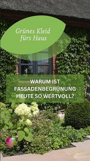 Warum Fassadenbegrünung heute so wertvoll ist.