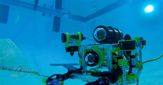Underwater Robots