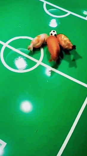 Crazy minions (@crazyminionss)’s videos with original sound - Crazy minions