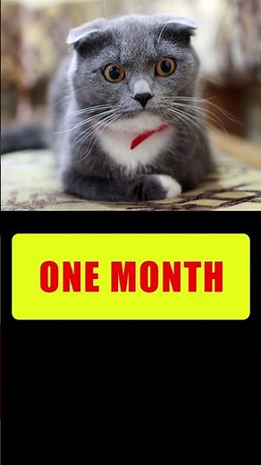 FASTEST METHOD To Get Fallout 76 Secret Service Armor #shorts