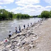 Tailwater fishing at Carlyle Lake