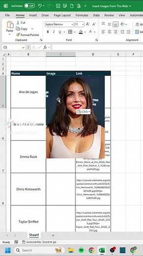 How to Import Images from the Web into Excel
