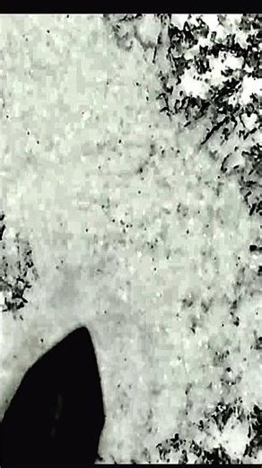 THE SMALLEST DRAWING IN THE WORLD