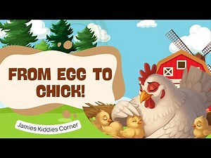 From Egg to Chick! | Animal Life Cycle | Educational Story for Kids & Toddlers