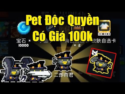 Exclusive Pet Costs 100k In Soul Knight 7.6.0