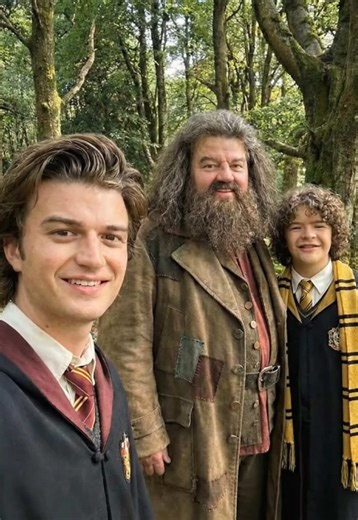 The Perfect Crossover: Stranger Things Meets Harry Potter