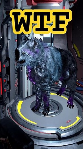 Dog Becomes GOD #warframe #kubrow #build #pet #wisp #mecha