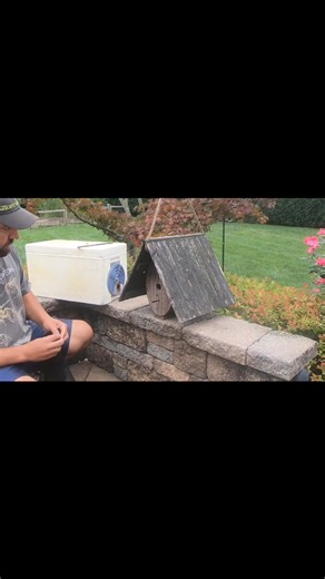 70K views · 870 reactions | Honeybee removal from a little Birdhouse #abejas #beekeeping #treatmentfree | Swarmstead Bees and Gardening | Facebook
