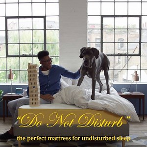 motion transfer on an eve mattress is kept to a minimum, so you'll always get the perfect undisturbed nights sleep. Shop the eve mattress here - http://bit.ly/2CHgDsj | eve sleep