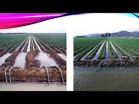 Surface Irrigation (Irrigation & Drainage), and it's types, Cablegation, Furrow method, Border etc