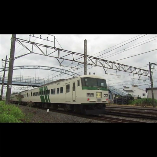 185系の回送列車 #shorts #train #踊り子 #東海道線