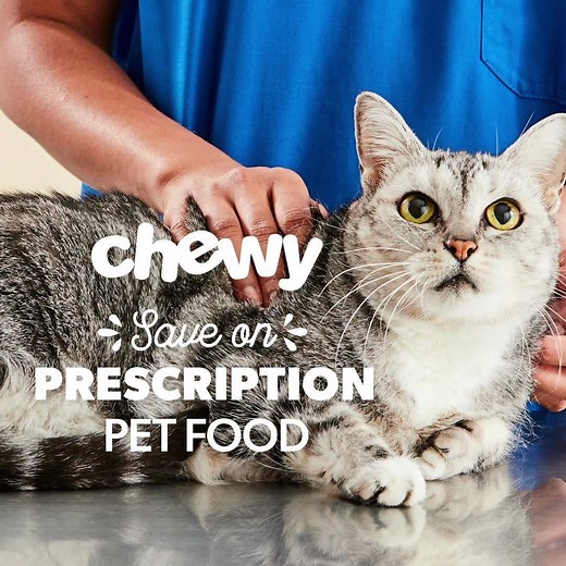 2.2M views · 9.4K reactions | Shop Chewy today for clinically-proven nutrition for your pet’s health needs, plus 30% off first Autoship! | Chewy | Facebook