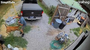 Came in like a wrecking ball 🦌🐶🥜 #Deer #Fail #Ouch #ViralHog | ViralHog