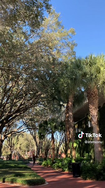 Stetson University on TikTok