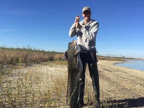 Catching BIG wels catfish in Chernobyl (with a HUGE tumor?!)