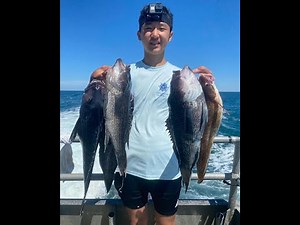 NJ Party Boat Fishing for Seabass and Ling on Big Jamaica 2022