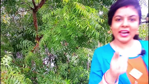 Css Gradient Input Field Animation @TonuDipa Coding