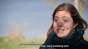 9.7K views · 106 reactions | The ospreys are back at Rutland Water...