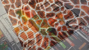 Hacker Code Rug: Colorful Gamer Room Decor - Etsy