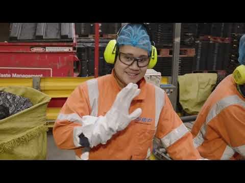 Careers in Operations at CHEP New Zealand