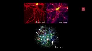 Rajesh Kumar on TikTok