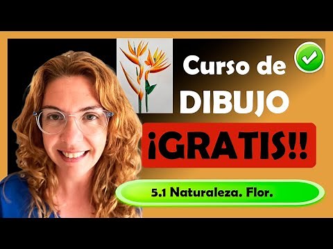 Curso de Dibujo GRATIS, 5.1 Cómo dibujar una flor realista