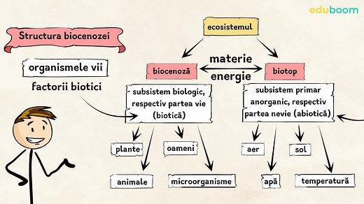 Ecosistem. Biotop şi biocenoză. Biologie clasa a 5-a