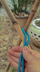 This knot locks two sticks firmly! #ropetrick #outdoorskills #knotting