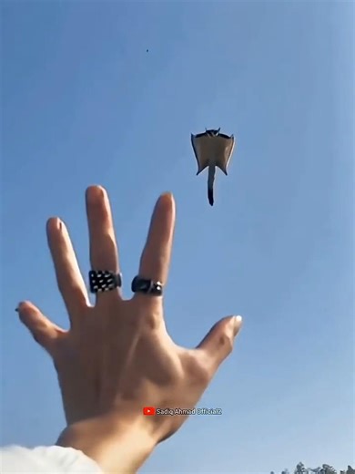 The Squirrel That Can Fly 😱