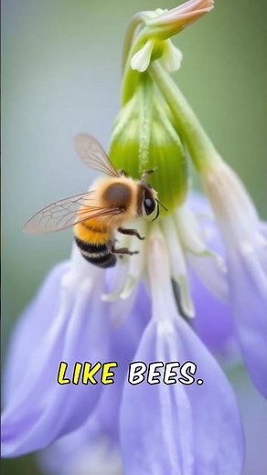 Wild Bluebells: Nature's Best Kept Secret