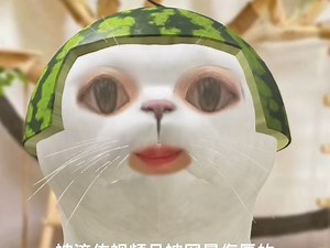 【gbngggg】我的最新作品，快来一睹为快！