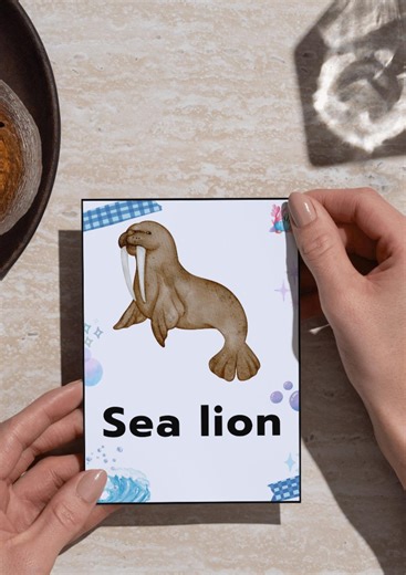 Sea Animal Flashcards for Kids | Ocean Vocabulary Learning (digital Download) - Etsy