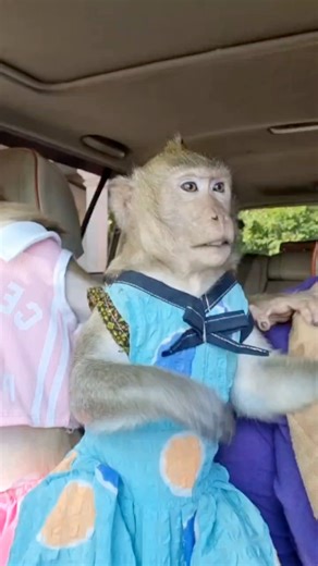 190K views · 2K reactions | Funny times YaYa family | YaYa Family | Facebook