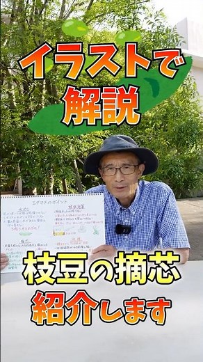 The Secret to Harvesting Plump Edamame in Your Garden or Farm! Illustrated Guide to Edamame Pinch...
