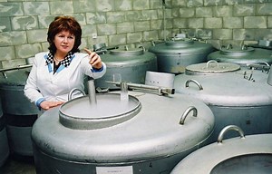 Cryobiology - Alchetron, The Free Social Encyclopedia