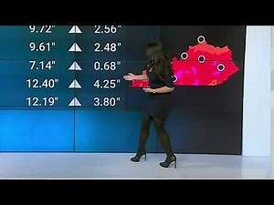 Felicia Combs - Grey Dress Tights - Weather Channel - Rear View - Easy On The Eyes
