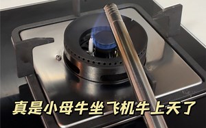 看看我为了省钱，都学会了啥？真是小母牛坐飞机牛上天了tao hao