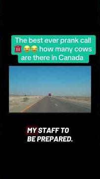 The best ever prank call ☎️ 😂😂 how many cows are there in Canada PART 1