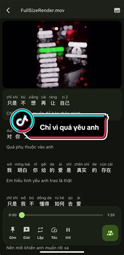 Chỉ vì quá yêu anh (只是太爱你) - lời bài hát, pinyin và cover phổ biến
