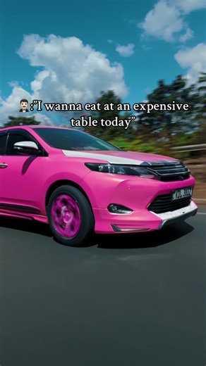 Just a Girl and Her Pink Harrier | Spoiler Alert