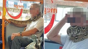 Man sports snake as face mask to beat coronavirus