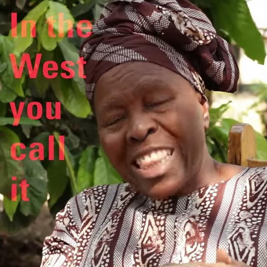 What is ifa? | Ifa explained by Sophie Oluwole