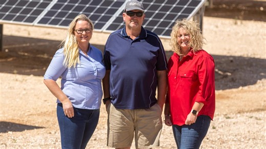 Family pig farm transformed by solar and welfare moves
