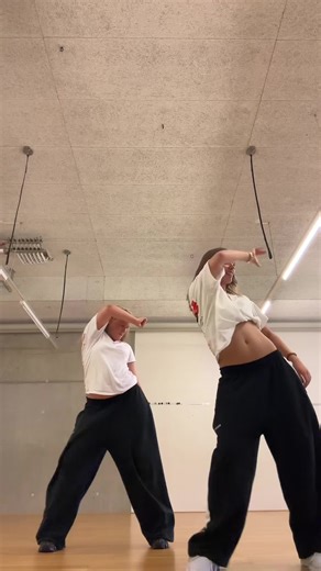 Zara Larsson's Backup Dancer Auditions