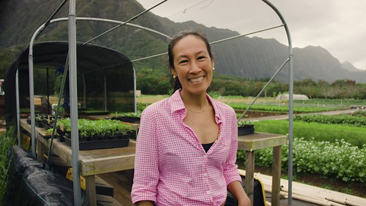 82K views · 692 reactions | In 2015, Chef Robynne Maii and her husband opened Fête Hawaïi in Honolulu's bustling Chinatown. Born and raised in Honolulu, she began her culinary adventure on O‘ahu and eventually moved to New York City before returning home. Join us as she speaks to the importance of sourcing local ingredients for her menu. To learn more about our Featured Chefs, visit https://on.hwnair.com/3mcHeYb. | Hawaiian Airlines | Facebook