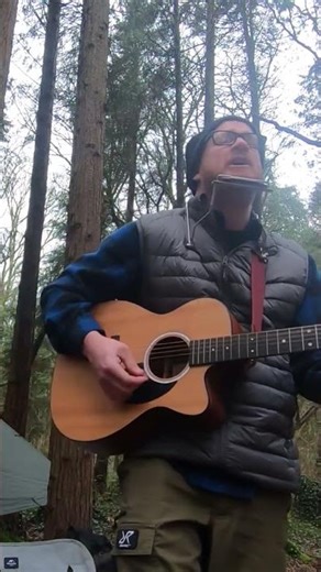 Chimes of Freedom Bob Dylan #campfire #wildcamping #woodland #live #music #folksong #vibes