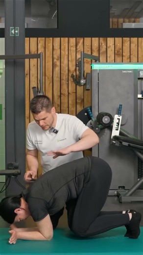 Physiologische Plank