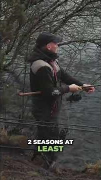 Tame hard fighting pike with confidence using these deadbaiting rods 🎣